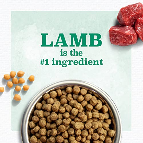 NUTRO Limited Ingredient Diet Small Bites Adult Dry Dog Food Lamb