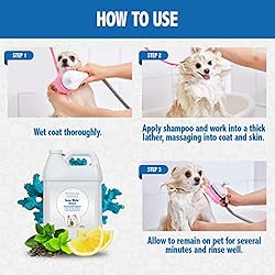 Veterinary Formula Solutions Snow White Shampoo for