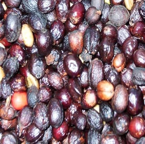 Kit Café Especial Em Grãos, 3 Sabores, 3 Pct De 200g