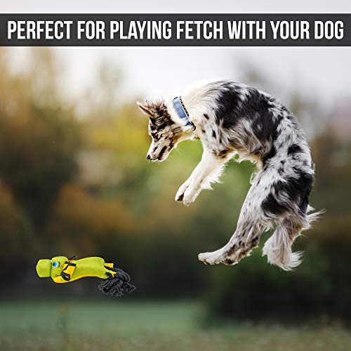 Hyper Pet Flying Pig Slingshot Dog Toy Pricepulse