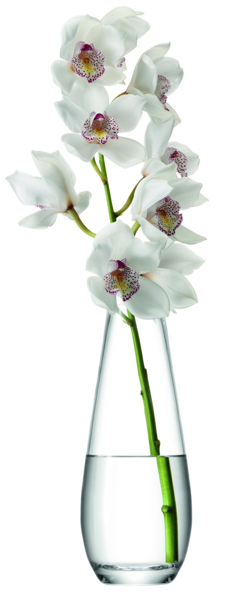 LSA International Flower Tall Stem Vase H29cm Clear| 1 Unit | Mouthblown & Handmade Glass | FW07