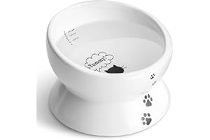 Y YHY Elevated Cat Food Bowl, Raised Food and Water Bowl for Cat and Small Dog, Tilted Ceramic Water Bowls No Spill,15oz, Dishwasher Safe