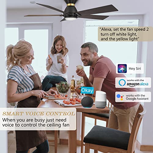 Smart Wifi LED Ceiling Fan in Indoor/Outdoor, 52inch Plywood smart