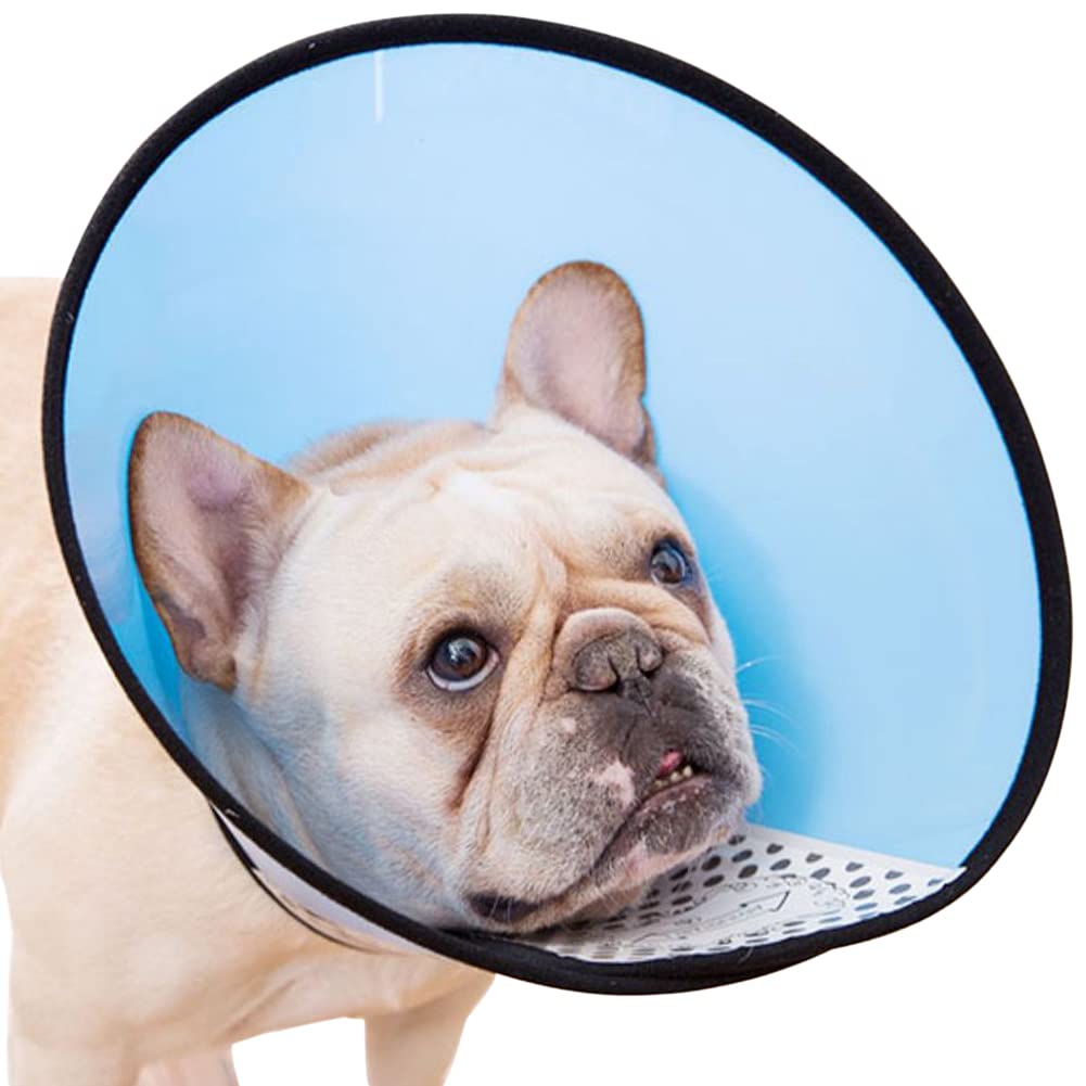 Bidason エリザベスカラー 犬 猫 マジックテープ 軽量 調節可能 装着簡単 接着力強い 抜けにくい ウサギ 兼用 手術後 皮膚病 介護用 引っ掻き 舐め防止 PP素材 色選択可 7サイズ の商品画像