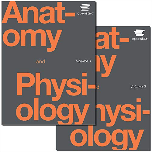 Anatomy+Physiology 2 Volume Set (Oer)