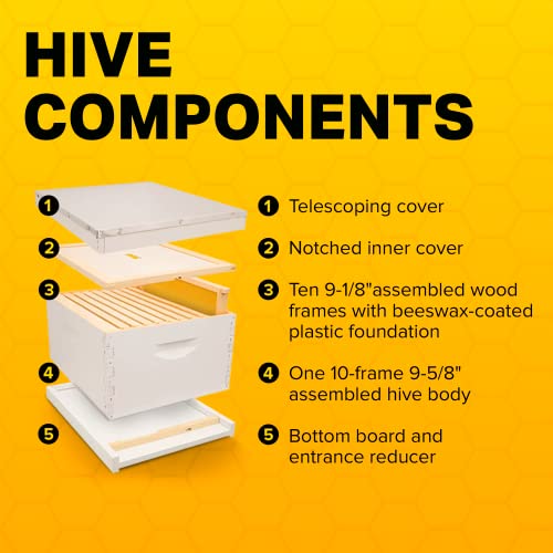 Mann Lake Complete Bee Hive Kit, Fully Assembled BeginnerFriendly Bee