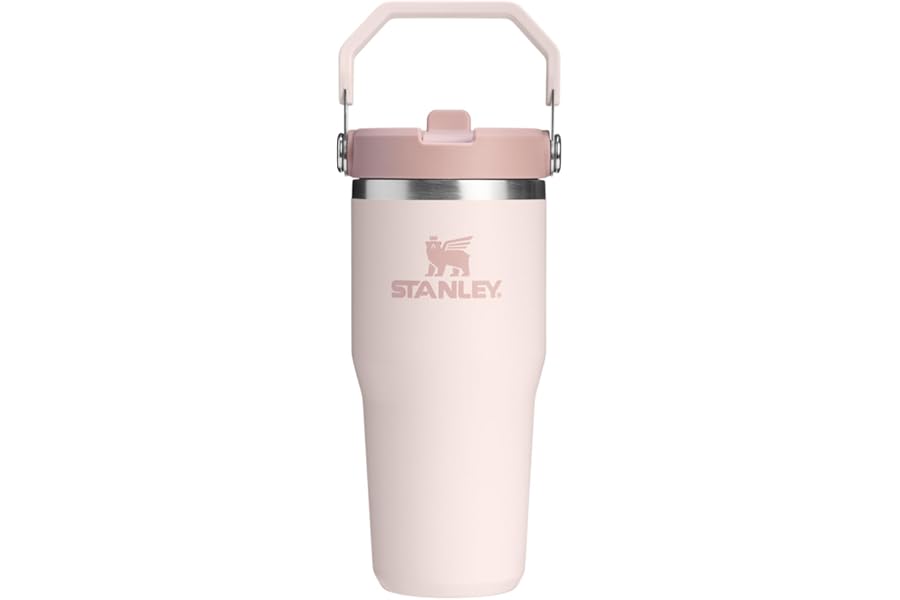 STANLEY IceFlow 2.0 Flip Straw Tumbler with Handle 14 oz | Twist On Lid and Flip Up Straw | Leakproof Water Bottle | Insulate Book
