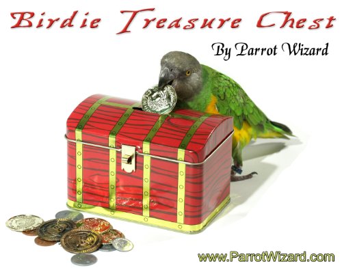 Birdie Treasure Chest - Parrot Bank Trick Prop