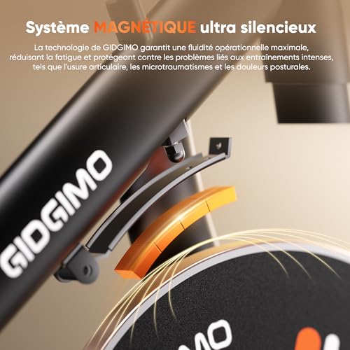 Magnetic Resistance Exercise Bike for Home
