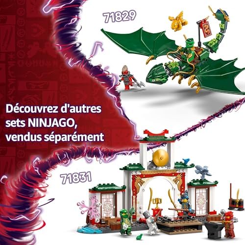 Ninjago Le Temple de Spinjitzu des Ninjas - Jeu de Construction avec 4 minifigurines et Un Dragon - Stimule Le Jeu de rôle - Idée de Cadeau pour garçons et Filles dès 4 Ans 71831