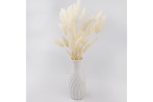 50 Pcs 17.7 Inches Lagurus Bunny Tails Pampas Grass Decor White Pink Artificial Rabbit Tails Dried Flowers Bouquet for Home D