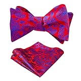Alizeal Handmade Mens Paisley Self Tied Bow Tie and