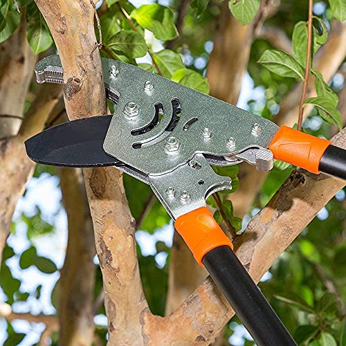 T3 Ratcheting Telescopic Lopper Tiger Jaws most powerful Heavy Duty