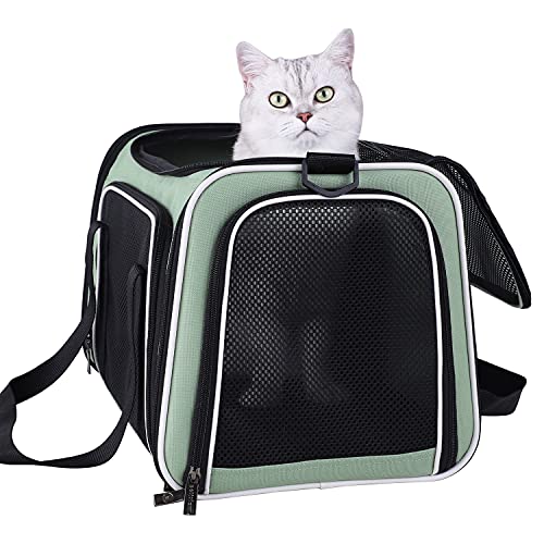 Soft Pet Carriers for Medium and Large Cats, 2 Kitties and Small Dogs w