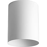 Progress Lighting 5-Inch Cylinder Outdoor Ceiling Light, 1-Light Modern Flush Mount Ceiling Fixture, Interior and Exterior Li