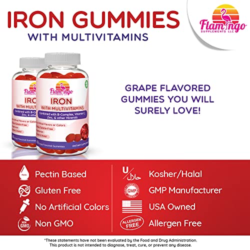 Iron Gummies Plus Multivitamin with Iron Vitamin C, Zinc, B Complex