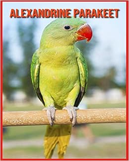Buy Alexandrine Parakeet Amazing Photos Fun Facts Book About Alexandrine Parakeet For Kids Book Online At Low Prices In India Alexandrine Parakeet Amazing Photos Fun Facts Book About Alexandrine Buy Alexandrine Parakeet Amazing Photos Fun Facts Book About Alexandrine Parakeet For Kids Book Online At Low Prices In India Alexandrine Parakeet Amazing Photos Fun Facts Book About Alexandrine