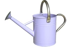 IMIMHOME 1 Gallon Metal Watering Can with Removable Spout, Ideal Plant Watering Can for Indoor and Outdoor Plants (One Gallon