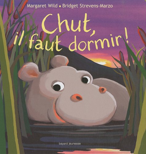 Chut Il Faut Dormir Amazon Co Uk Wild Margaret Strevens Marzo Bridget Books