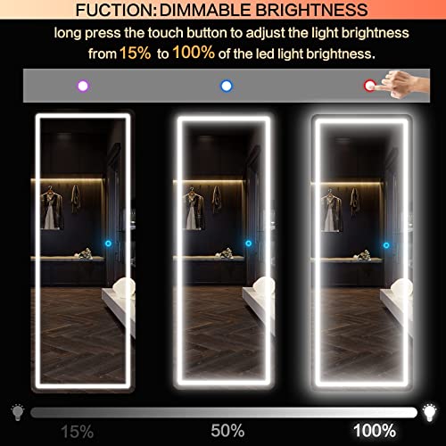EDTEMI 63"x20" Full Length Floor Mirror LED Whole Body Mirror, Wall