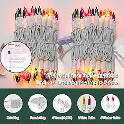 LAMPHOME Christmas String Light,100 Count
