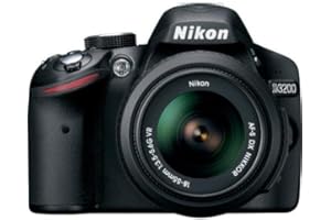 Nikon D3200 24.2 MP CMOS Digital SLR with 18-55mm f/3.5-5.6 AF-S DX NIKKOR Zoom Lens (Renewed)
