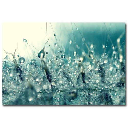 Trademark Art Beata Czyzowska Young Under The Sea Canvas Art, 30 by 47-Inch