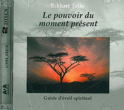 le Pouvoir du moment présent (The Power of Now, French edition) Image