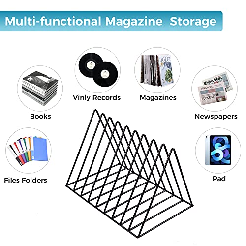 Vinyl Holder for Vinyl Record Storage 2Pack Vinyl Record Holder for