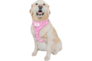 Sassy Woof Dog Adjustable Harness - Barbie™ Malibu - XL, Breathable Mesh, No Pull Design with Two D-Rings, Patented Design, Ideal for Extra Large Dogs - Officially Licensed