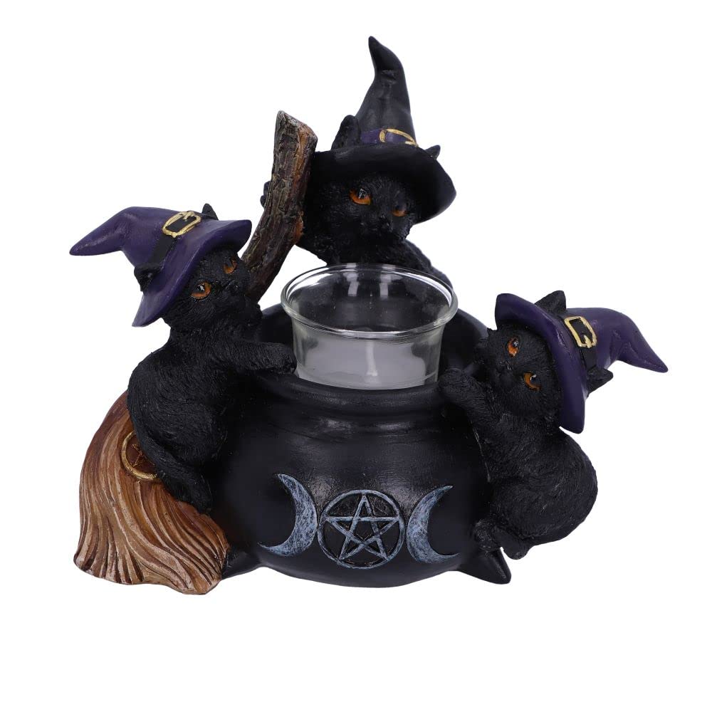 Nemesis Now Familiar Cauldron Tea Light Holder, Black, 12.5cm, Resin and Glass (U5952V2)