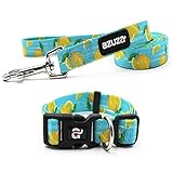 azuza Dog Collar and Leash Set, Lemon Patterns on