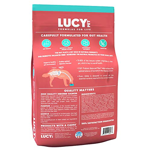 Lucy Pet Formulas for Life Salmon, Pumpkin, & Quinoa Dry Dog Food, All