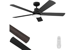 Regair Ceiling Fans with Lights 52-Inch, Remote Control Reversible DC Motors, 3CCT Dimmable Timer Noiseless, Black Ceiling Fan for Bedroom Living Room, Indoor&Outdoor ETL Listed