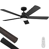Regair Ceiling Fans with Lights 52-Inch, Remote