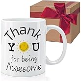 HIWERAN Thank You Mug Gift for Coworker Employees Teachers Boss Manager Mom Dad, Employee Appreciation Gifts, Appreciation Gifts for Coworkers, Thank You for Being Awesome Coffee Mug 11Oz