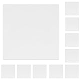 LIDER Double Blank Wall Plate, Temperature and