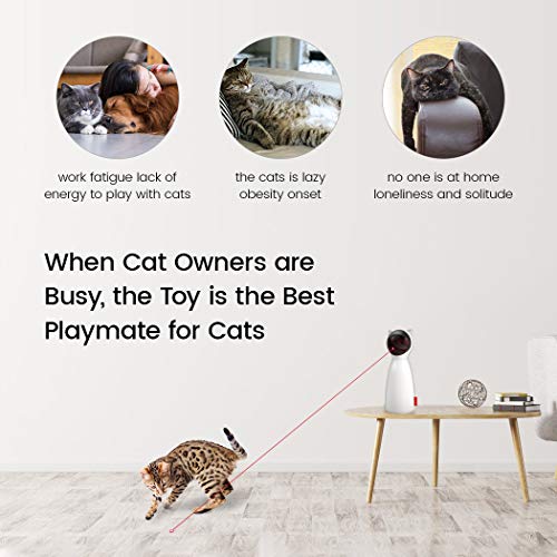 ZOTO Cat Laser Toy, Automatic Rotating Laser Pointer for Cats, USB