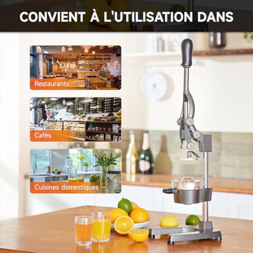 CO-Z Professional Manual Citrus Press Silent Stainless Steel Food Grade Grinder Juice Press Orange Lime Lemon Apples Fruit, Grey