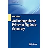 An Undergraduate Primer in Algebraic Geometry (UNITEXT, 129)