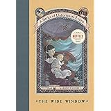 The Wide Window (A Series of Unfortunate Events)