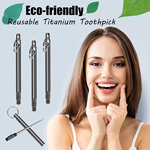 Stainless Steel Toothpick Set(3pcs),Metal Toothpick,Resuable Titanium Toothpick, KeychainToothpick Holder for Teeth, Travel Camping Picnic Hiking Supplies, Black