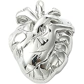 DanLingJewelry 12Pcs Anatomical Heart Pendants 3D Human Organ Ornaments Gothic Stainless Steel Heart Charms for Jewelry Making Crafts