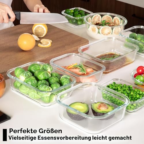 BOROHOUSE 5 Pack Borosilicate Glass Containers with Tempered Lid, 1040 ml/4.4 Cups, Airtight Meal Prep Set, Microwave/Freezer Safe/Ovenproof -20℃~510℃, Grey