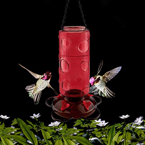 Urban Deco Hummingbird Feeder Red Glass Hummingbird Feeders,Red Wild Bird Feeder (Red-1pk)