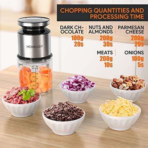 Homeasy Food Processor Small, Meat Grinder Mini Chopper 600ml Stainless