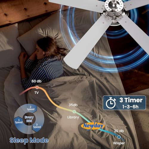 Newday 52" Ceiling Fan with Light and Silver Remote Control, Reversible 5 Ceiling Shovel with Dimmable Light, Large Silent Ceiling Fan for Living Room, Bedroom, Kitchen, Terrace