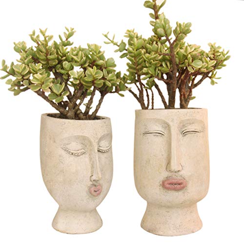 IFUNEYS Head Planter Face Flower Pot Succulent Plant Pots Indoor