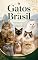 Livro Gatos do Brasil: Guia ilustrado de 49 raças e do gato sem raça definida: origem, temperamento, saúde, alimentação e cuidados