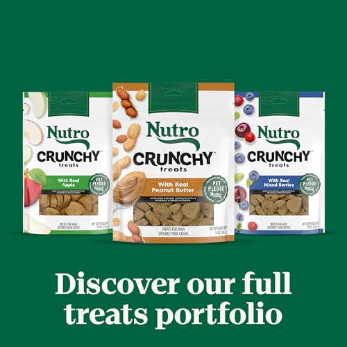 NUTRO CRUNCHY DOG TREATS WITH REAL APPLE, 16 OZ. BAG
